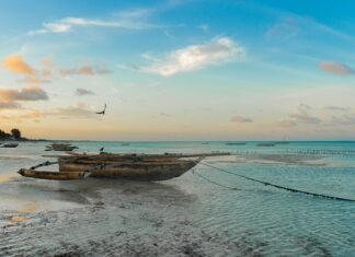 Ile czasu leci się na Zanzibar z Warszawy?