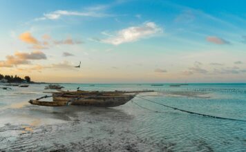 Ile czasu leci się na Zanzibar z Warszawy?