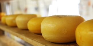 Ile jest rodzajów sera we Francji?